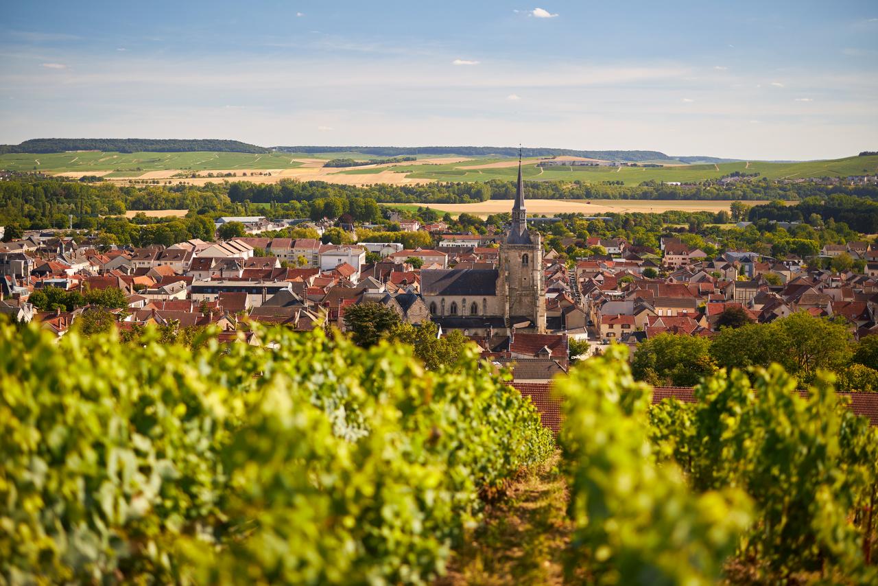 deutz ay vineyards 1 serge chapuis